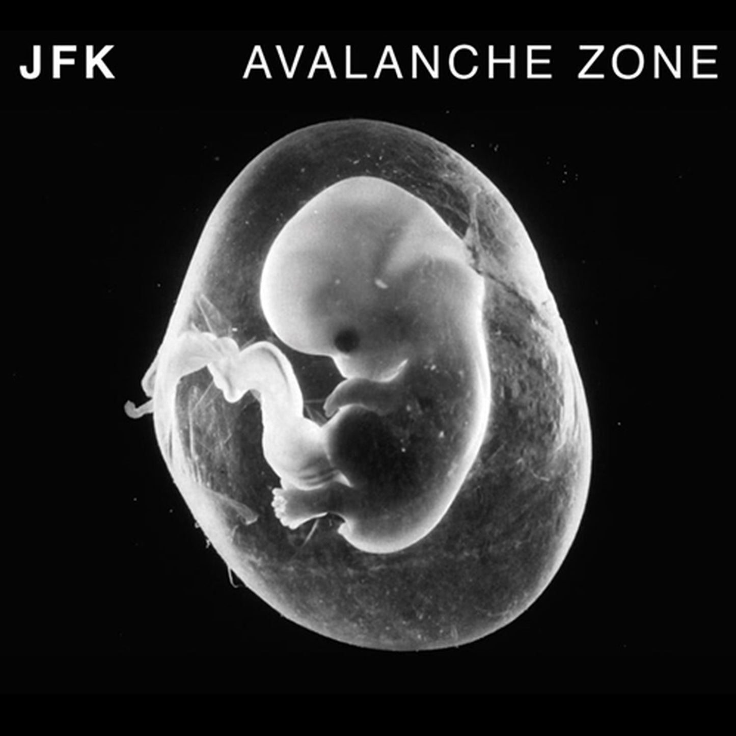 JFK - Avalanche Zone [CD]