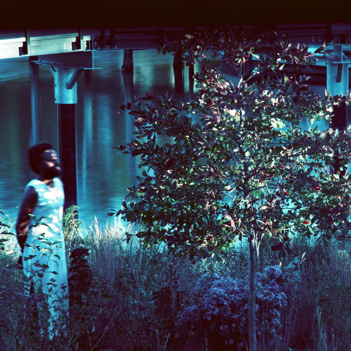 JJJJJerome Ellis - Vesper Sparrow