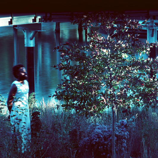 JJJJJerome Ellis - Vesper Sparrow [CD]