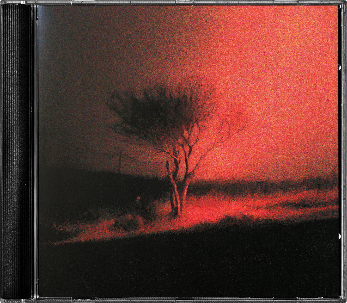 Joji - Piss In The Wind [CD]