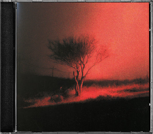 Joji - Piss In The Wind [CD]