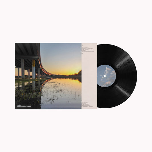 Jamie T - Ghosts (100 Days of Morning) [Black LP]
