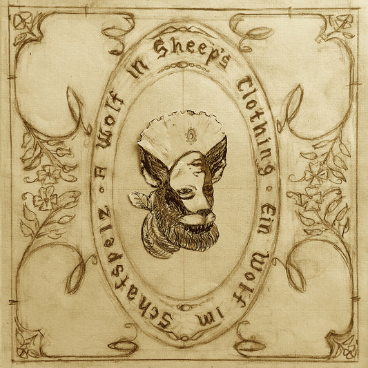 Josephine Foster - A Wolf in Sheeps Clothing [CD]