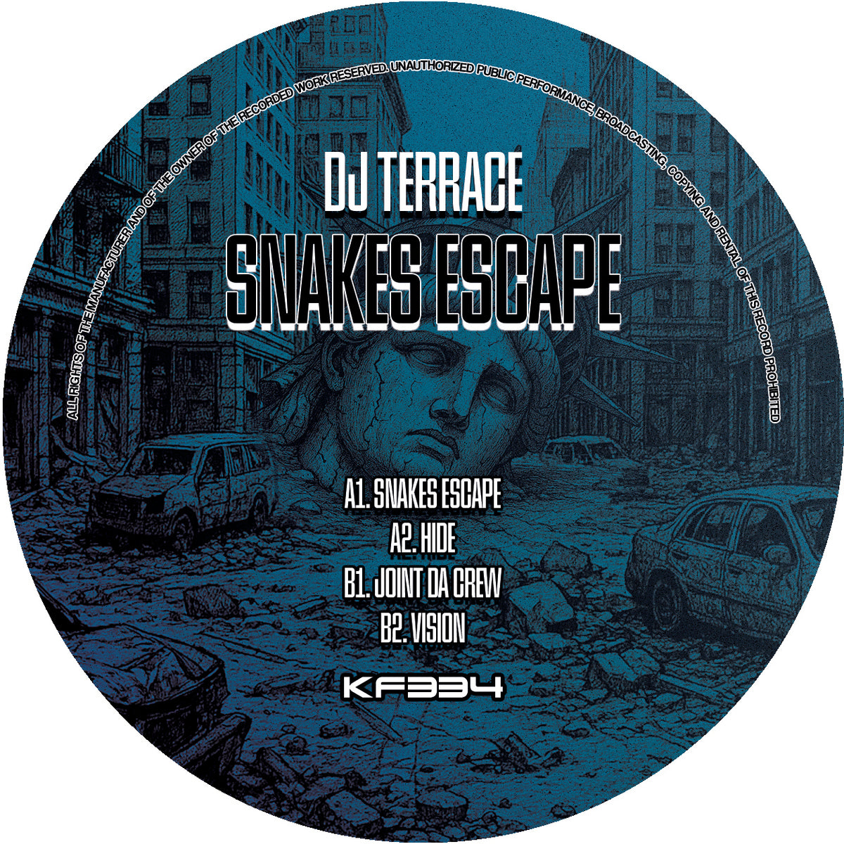 DJ Terrace - Snakes Escape (Blue And Clear Smoked Vinyl)