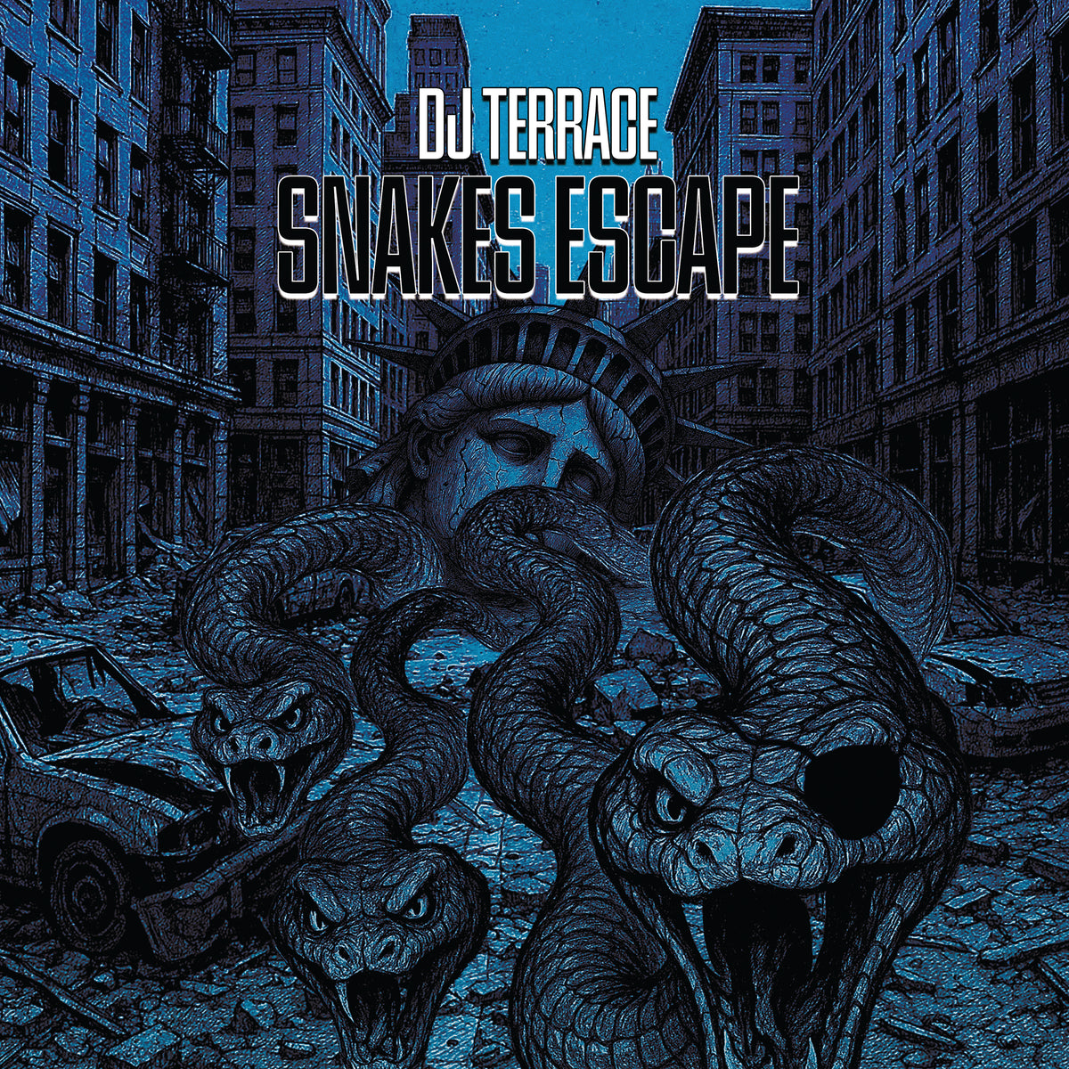 DJ Terrace - Snakes Escape (Black Vinyl Version)