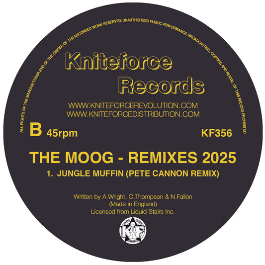 The Moog - Remixes 2025 EP