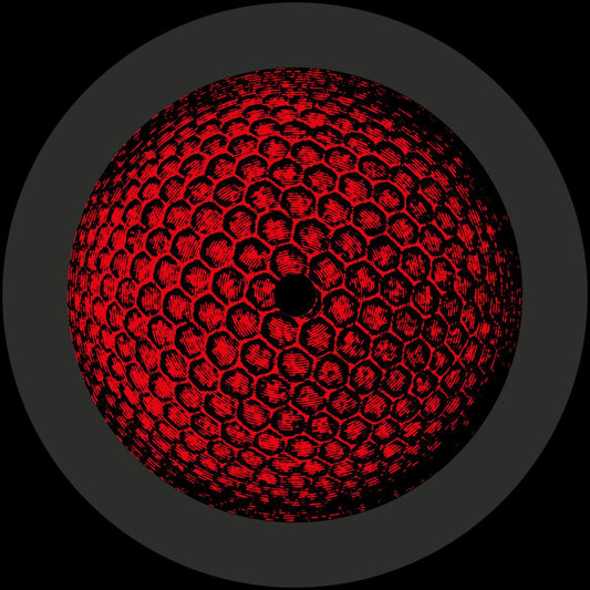 Skew & Satirist - Through The Compound Eye EP