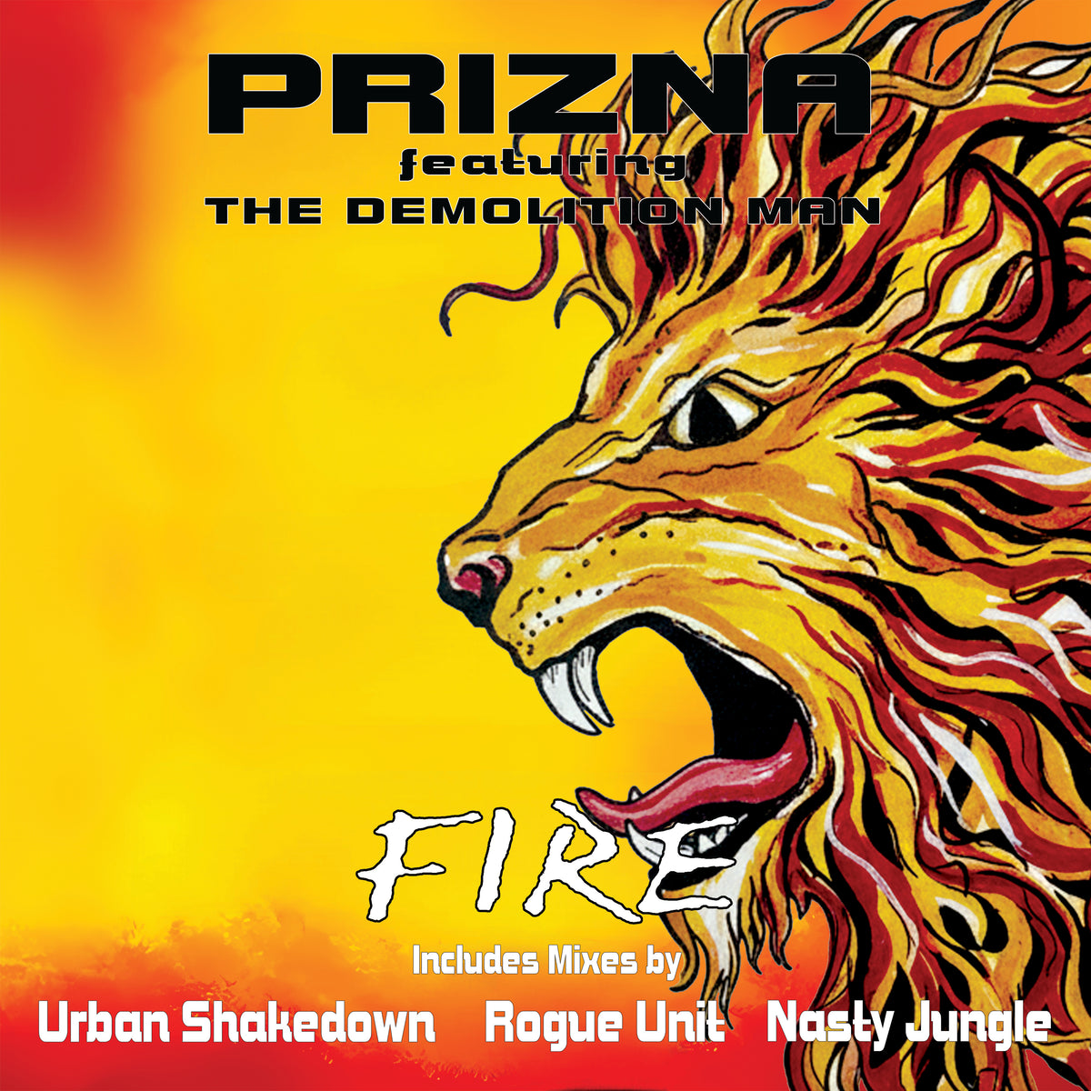 Prizna Featuring The Demolition Man - Fire Remixes (Black Vinyl)