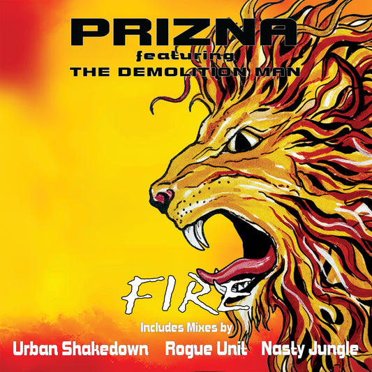 Prizna Featuring The Demolition Man - Fire Remixes (Black Vinyl)