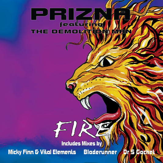 Prizna Featuring The Demolition Man - Fire Remixes 2 (Black Vinyl)