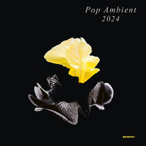 Various Artists - Pop Ambient 2024 [CD]