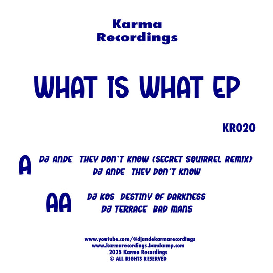 Various Artists - What Is What EP (Blue And White Marble Vinyl)