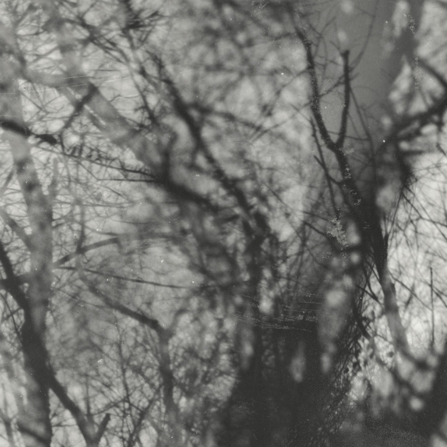 Grouper - Way Their Crept [CD]