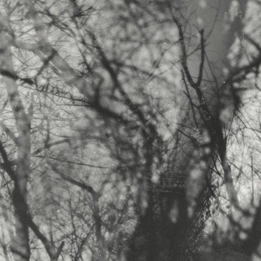 Grouper - Way Their Crept [CD]