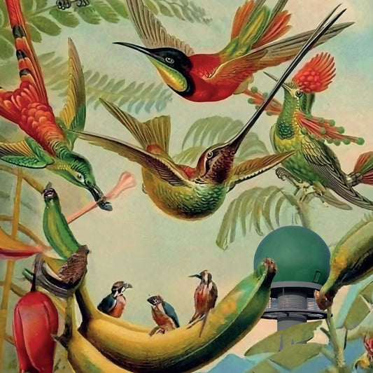 Various Artists - Radar Keroxen Vol.4