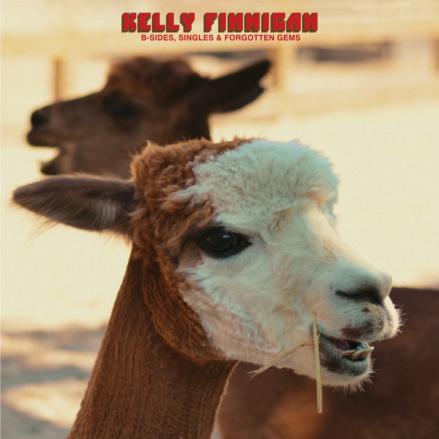 Kelly Finnigan - B-Sides, Singles & Forgotten Gems [Cassette]