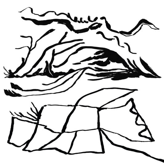 Kiran Leonard - Real Home [CD]