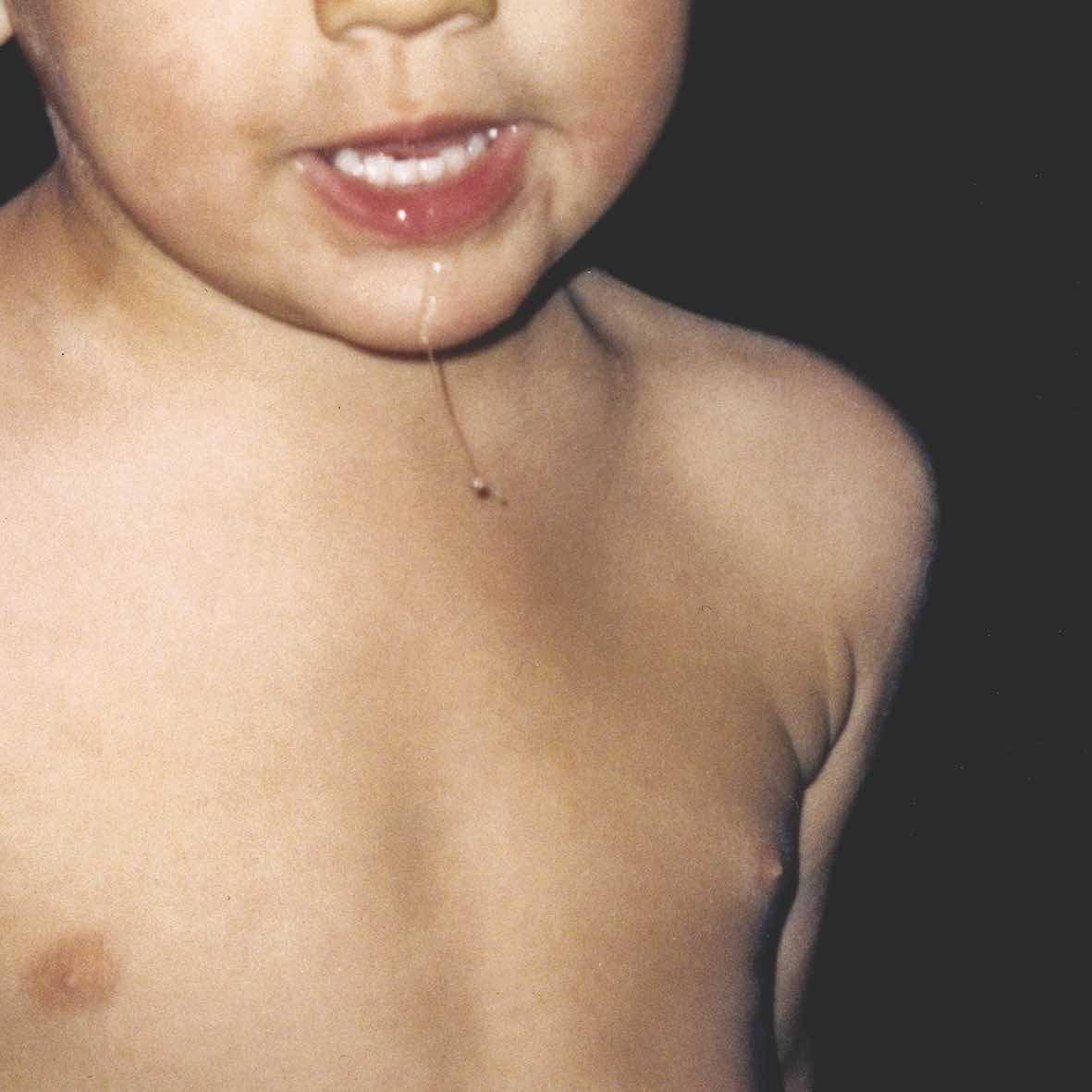 La Paloma - Todavia No [White LP]