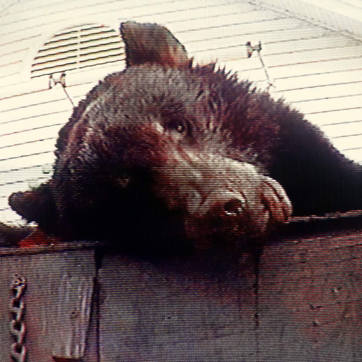 TRUCK VIOLENCE - VIOLENCE [OPAQUE BURGUNDY (CONKLIN) VINYL]