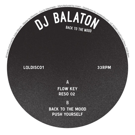 DJ Balaton - Back to the Mood
