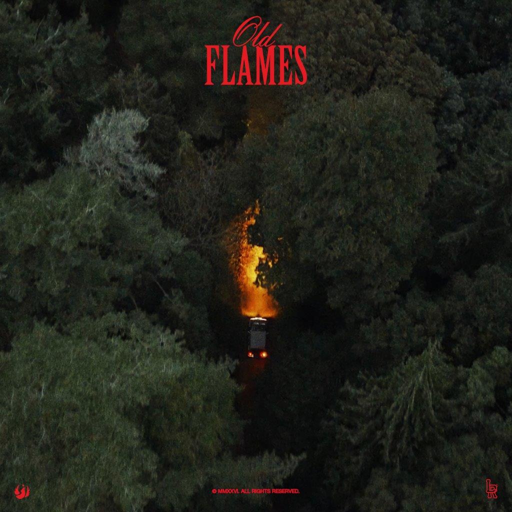 La Roux - Old Flame [Green LP]