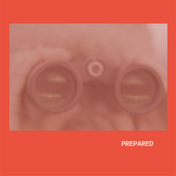 Laura J Martin – Prepared [Rose Pink LP]