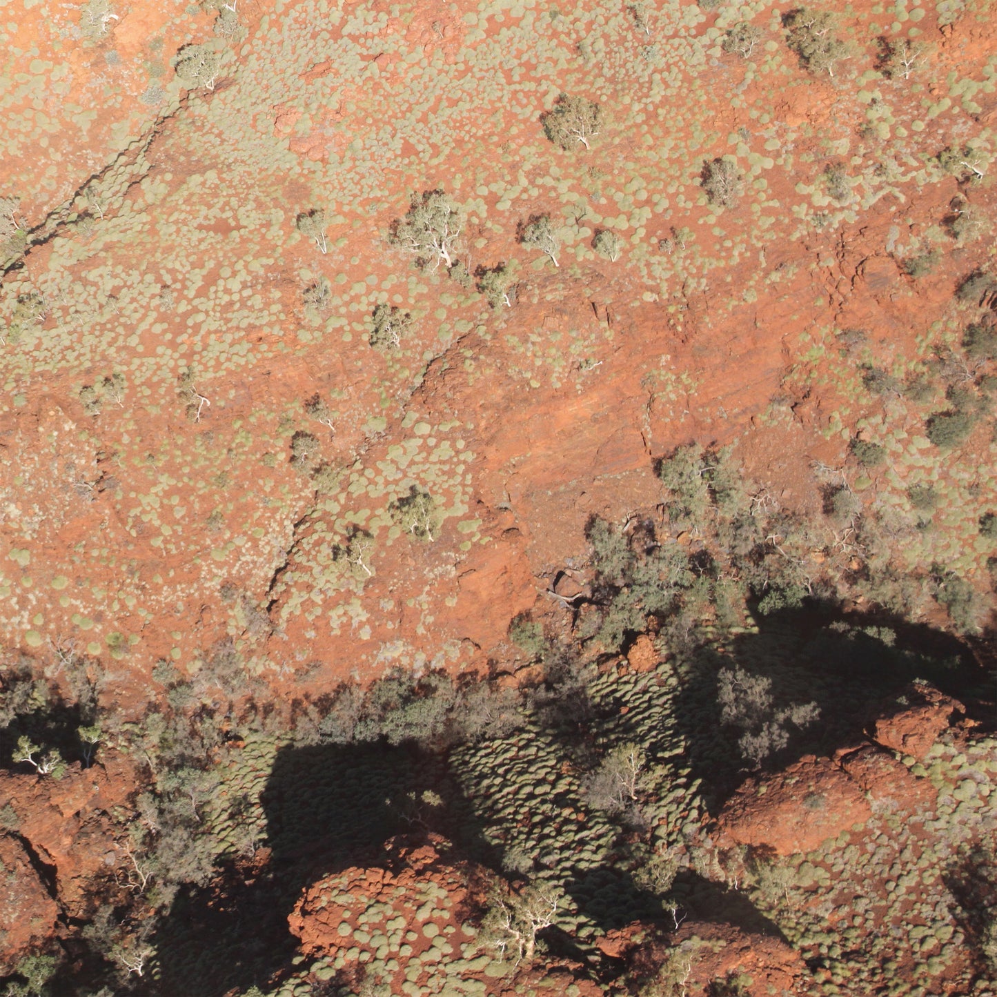 Lawrence English / Werner Dafeldecker - Tropic of Capricorn [Orange Vinyl]