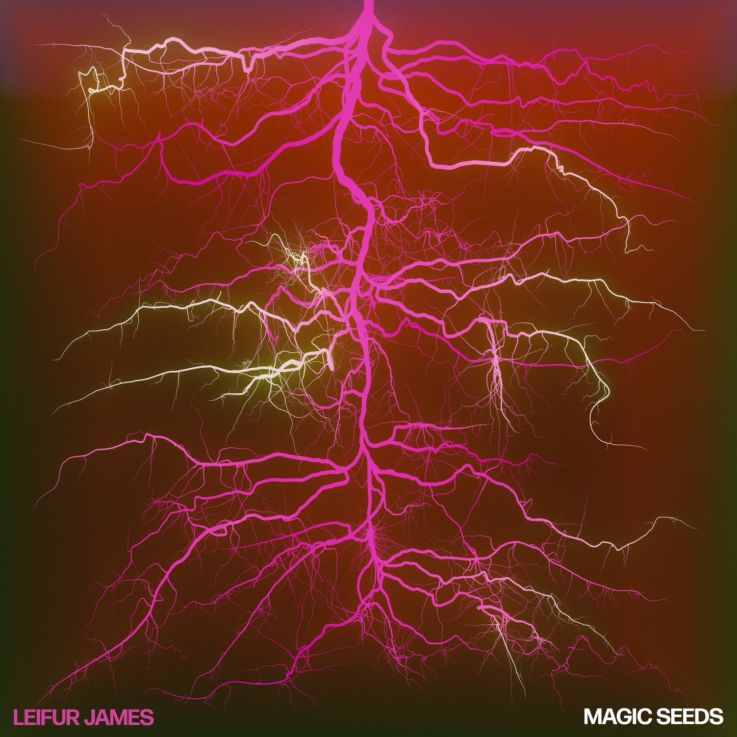 LEIFUR JAMES - MAGIC SEEDS (Deluxe Ruby Vinyl Edition) [Ruby Vinyl]