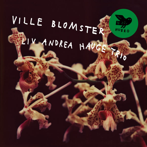 Liv Andrea Hauge Trio - Ville Blomster [CD]