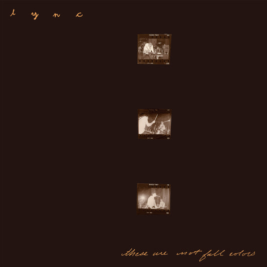 Lync - These Are Not Fall Colors [2LP 180 gram Colour Blend Vinyl]
