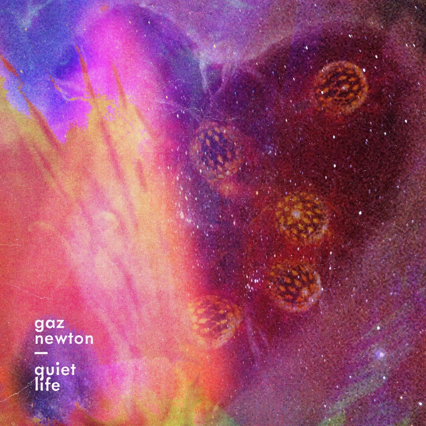 Gaz Newton - Quiet Life [CD]