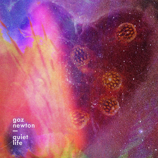Gaz Newton - Quiet Life [CD]