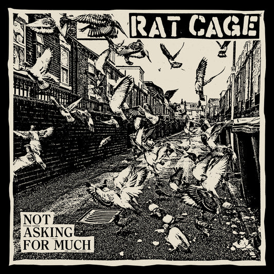 Rat Cage - Not Asking for Much