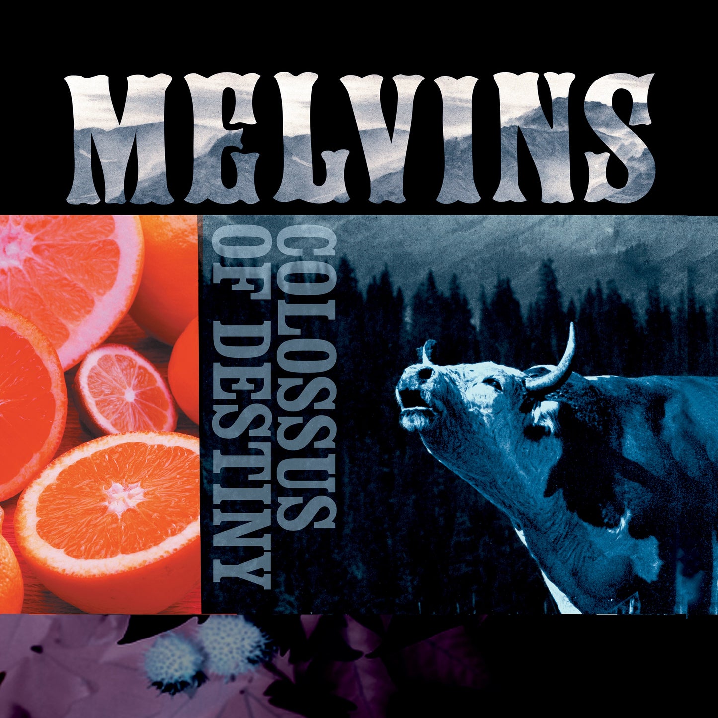 Melvins - Colossus Of Destiny [2LP Black]