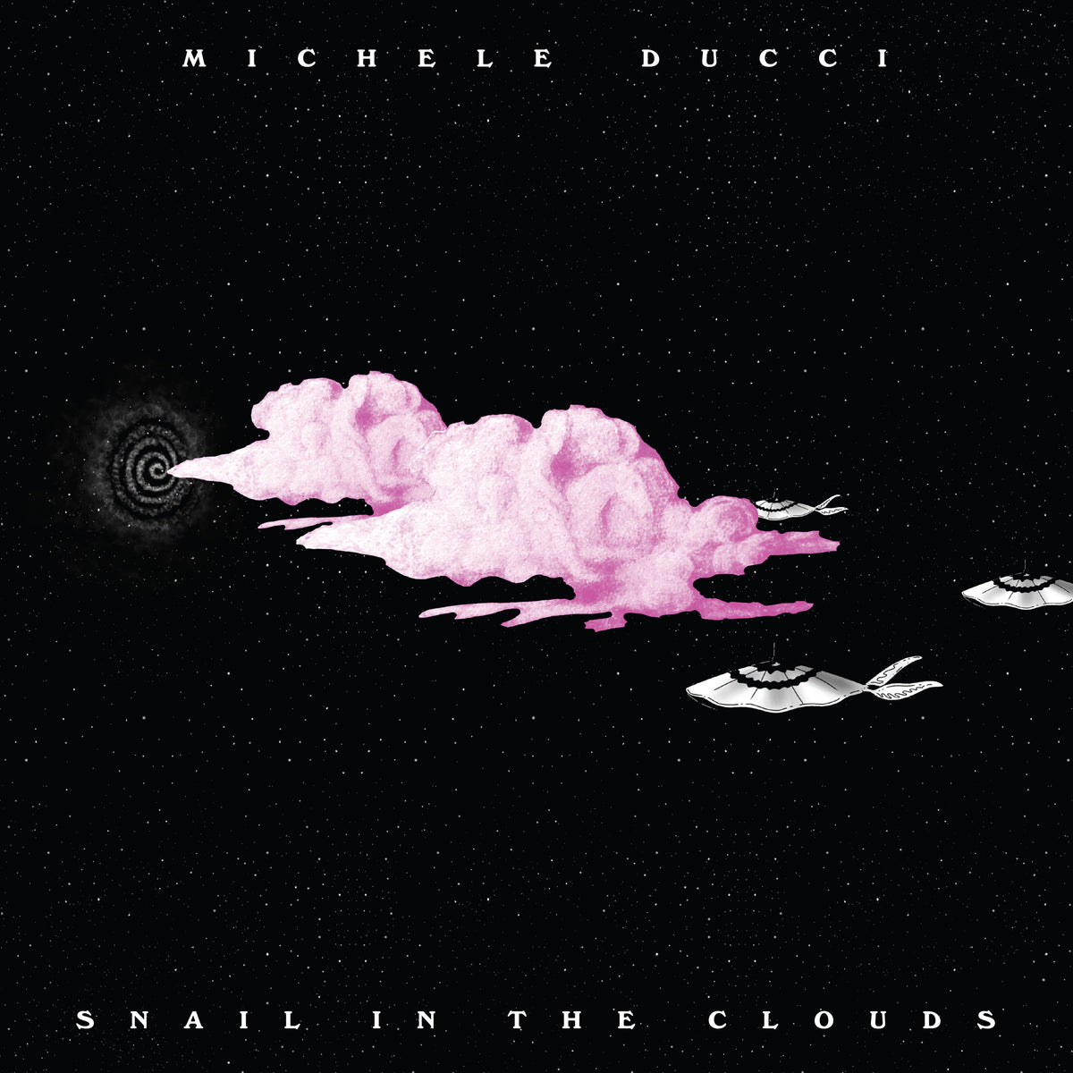 Michele Ducci - Snail in the Clouds