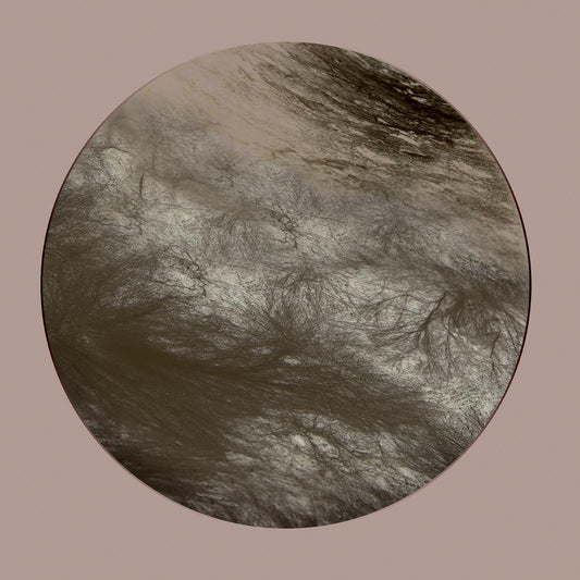 Ness - Flesh Of The Gods Remixes [gold vinyl / printed sleeve / 180 grams]