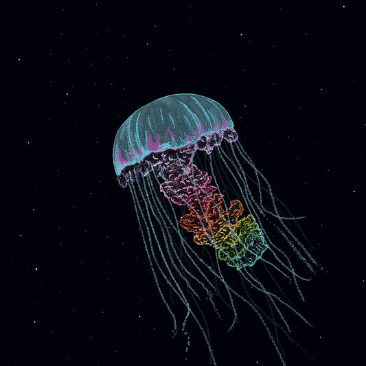 The Drowning World - Passive Margins