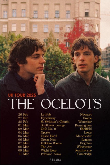 The Ocelots - Everything, When Said Slowly [LP]