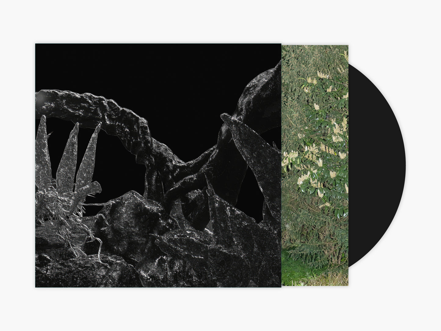 Anom Vitruv - 6.4311 [CD]