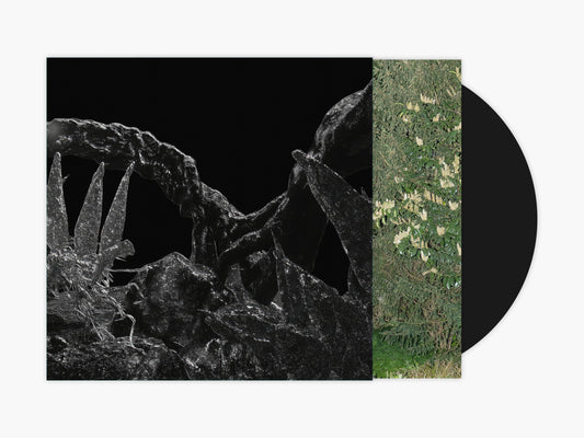 Anom Vitruv - 6.4311 [CD]