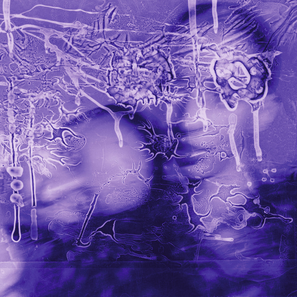 Sirens Of Lesbos - i got a song, it’s gonna make us millions [Transparent Purple LP]