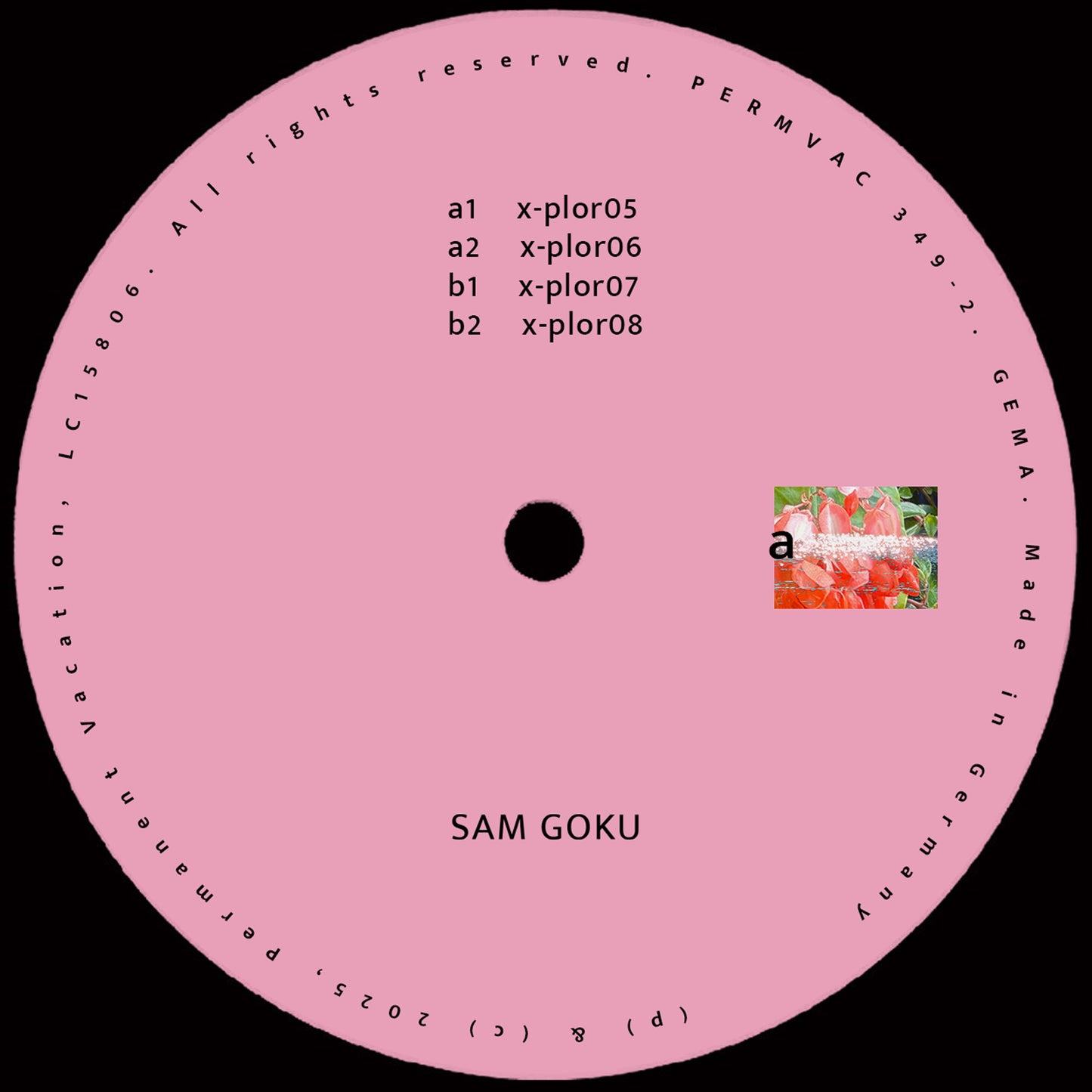 Sam Goku - Explorations 02