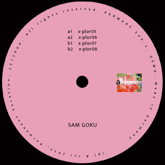 Sam Goku - Explorations 02