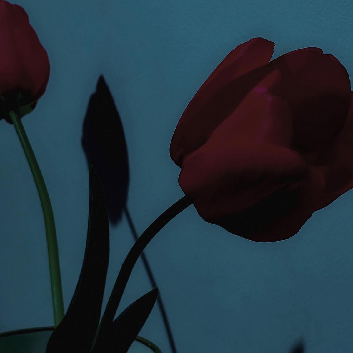 Various Artists - A Model Kit [printed sleeve]