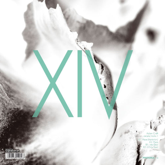 Adam Craft - Renata Tracks II