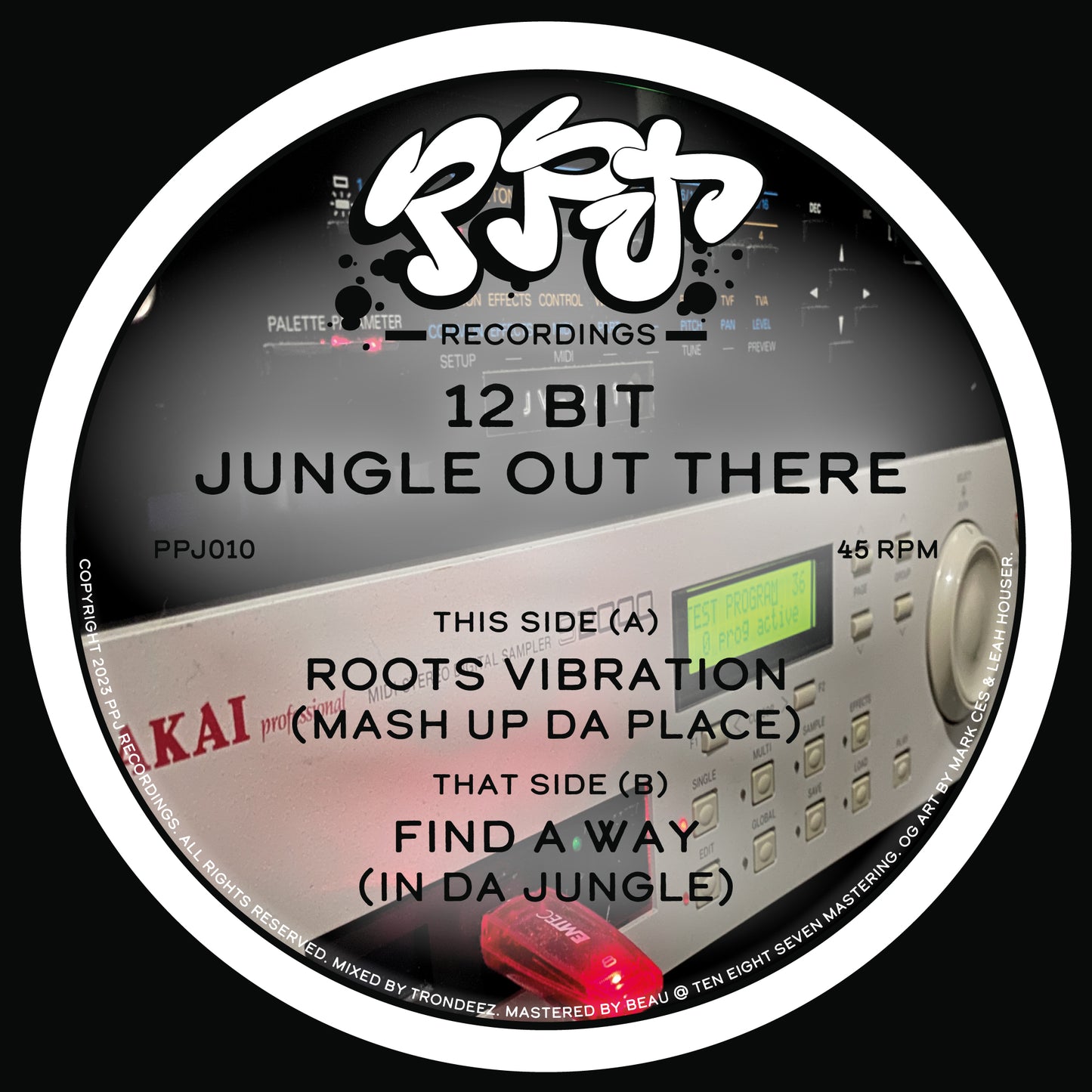 12 Bit Jungle Out There - Roots Vibration/Find A Way EP