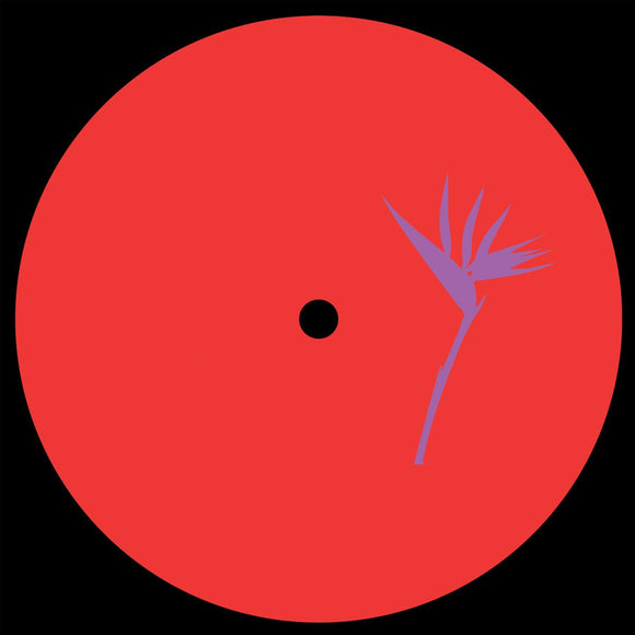 RWN - Dancing in Circles EP [vinyl only]