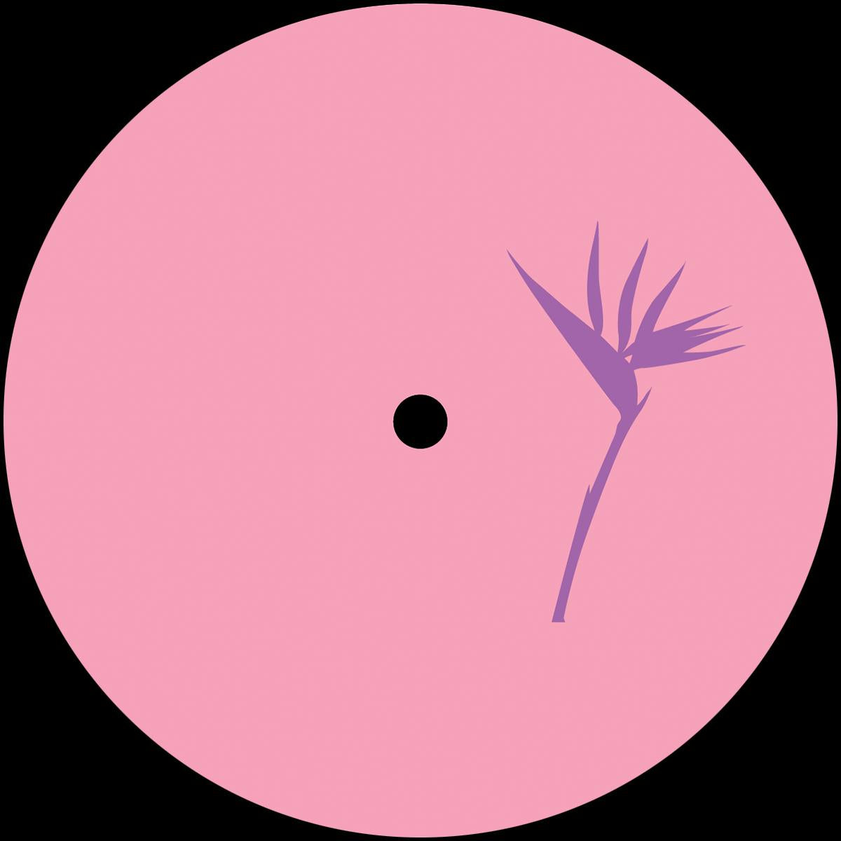 Various Artists - Zaha Zhivai EP [vinyl only]