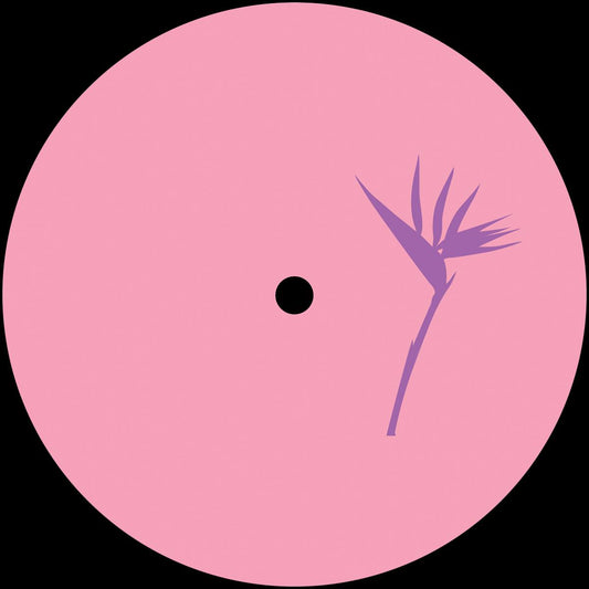 Various Artists - Zaha Zhivai EP [vinyl only]