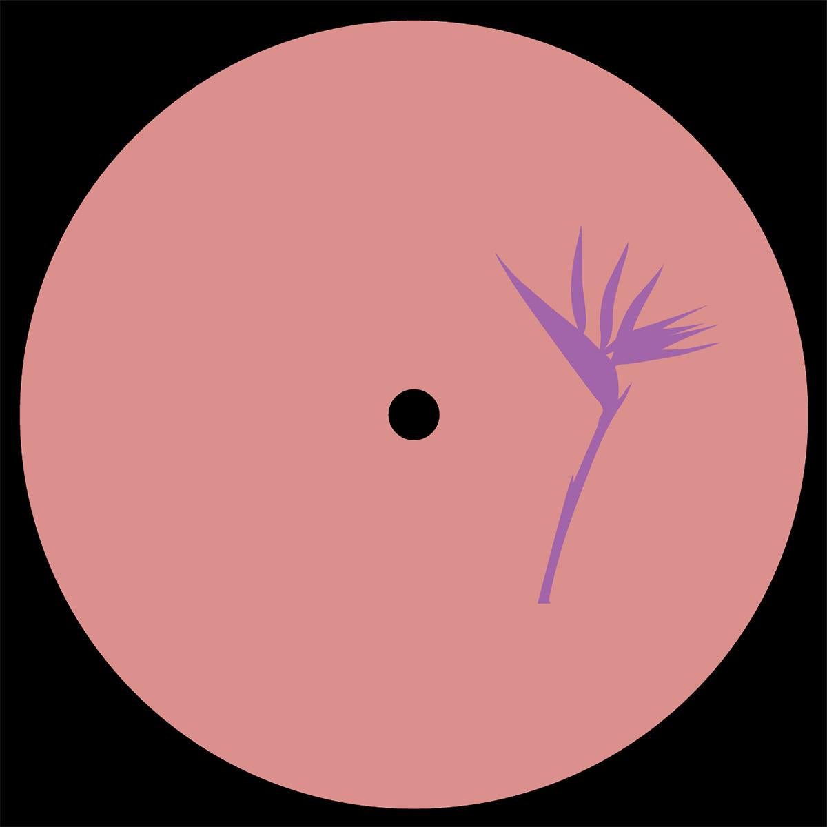 Daniel Meister - Lanao Izany EP [vinyl only]